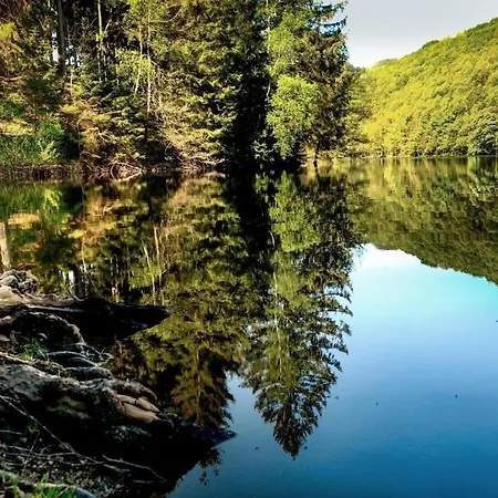 Haus Astenblick In Mit Gastraum Wanderveranstaltungen Und Familienfeiern * Winterberg