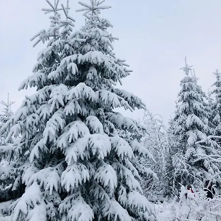 Feriehus Haus Astenblick Winterberg Appartments Mit Gastraum Weihnachtsfeier,Wanderveranstaltungen Und Familienfeiern Winterberg