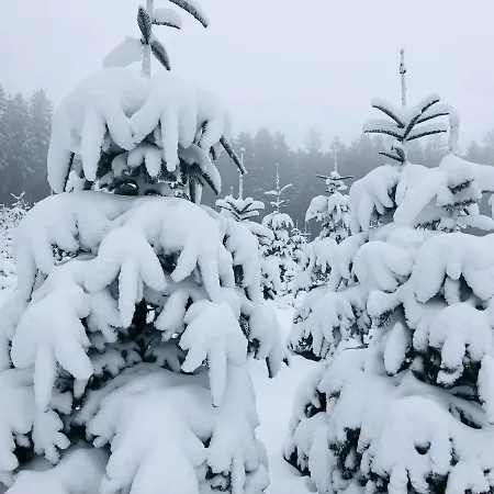 Dom wakacyjny Haus Astenblick In Mit Gastraum Wanderveranstaltungen Und Familienfeiern