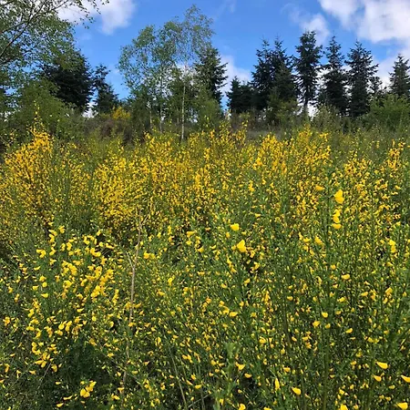 Tatil Evi Haus Astenblick In Mit Gastraum Wanderveranstaltungen Und Familienfeiern