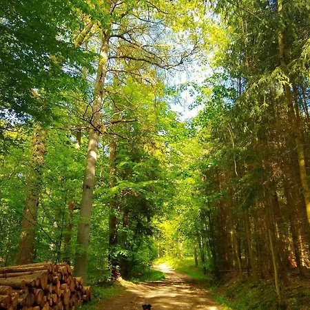 Haus Astenblick In Mit Gastraum Wanderveranstaltungen Und Familienfeiern Tatil Evi