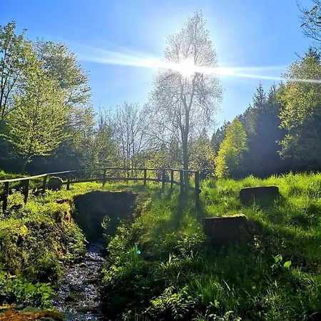 Tatil Evi Haus Astenblick In Mit Gastraum Wanderveranstaltungen Und Familienfeiern Winterberg