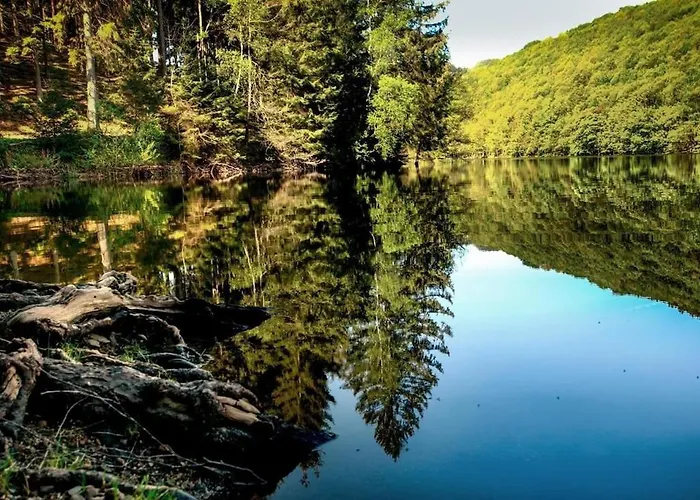 Haus Astenblick In Mit Gastraum Wanderveranstaltungen Und Familienfeiern * Winterberg