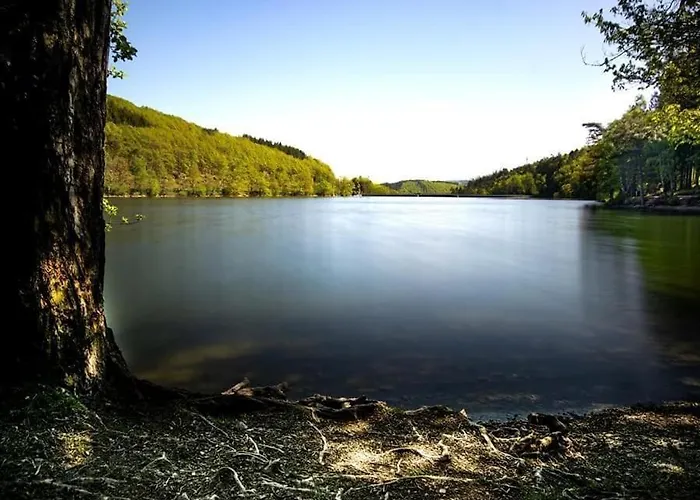 Haus Astenblick In Mit Gastraum Wanderveranstaltungen Und Familienfeiern Сasa de vacaciones Winterberg