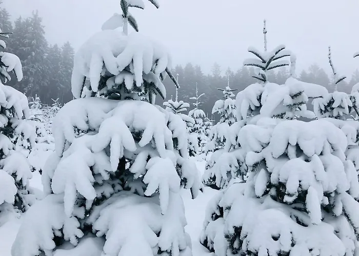 Сasa de vacaciones Haus Astenblick In Mit Gastraum Wanderveranstaltungen Und Familienfeiern