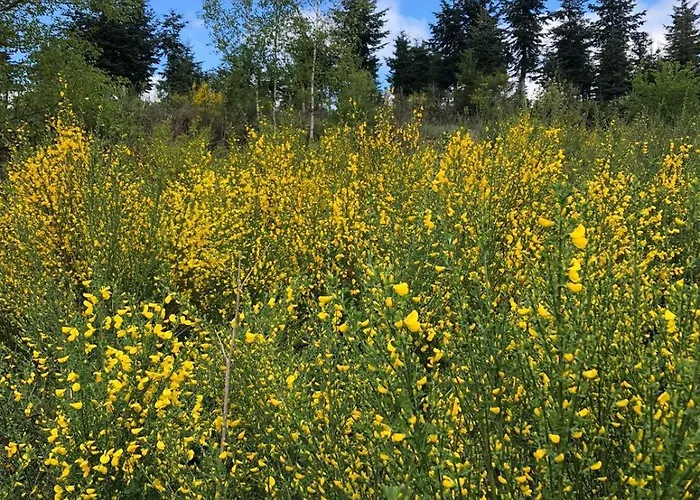 Сasa de vacaciones Haus Astenblick In Mit Gastraum Wanderveranstaltungen Und Familienfeiern