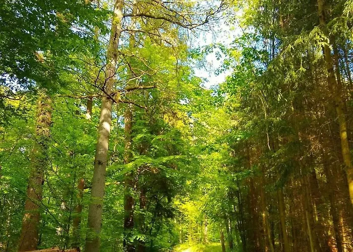 Haus Astenblick In Mit Gastraum Wanderveranstaltungen Und Familienfeiern Сasa de vacaciones