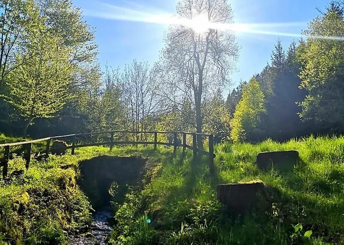 Сasa de vacaciones Haus Astenblick In Mit Gastraum Wanderveranstaltungen Und Familienfeiern Winterberg